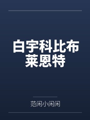 白宇科比布莱恩特