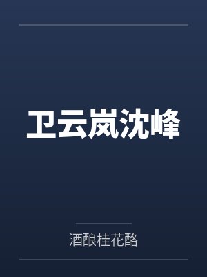 卫云岚沈峰