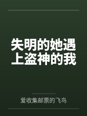失明的她遇上盗神的我 失明的她遇上盗神的我