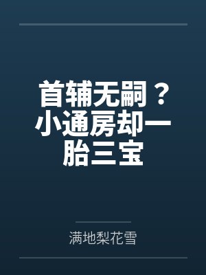 首辅无嗣?小通房却一胎三宝 首辅无嗣?小通房却一胎三宝