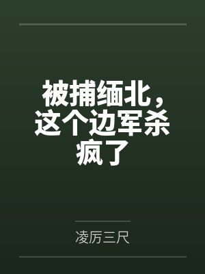 被捕缅北,这个边军杀疯了 被捕缅北,这个边军杀疯了